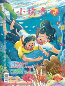 小读者
